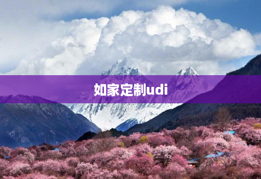 如家定制udi 如家定制udi