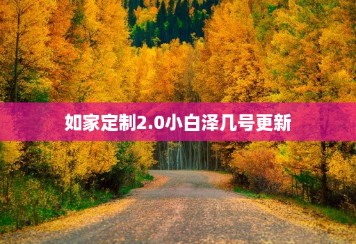 如家定制2.0小白泽几号更新
