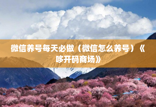 微信养号每天必做(微信怎么养号)《哆开码商场》