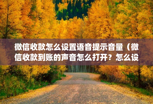 微信收款怎么设置语音提示音量(微信收款到账的声音怎么打开?怎么设置?)
