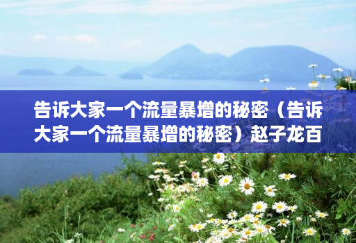 告诉大家一个流量暴增的秘密(告诉大家一个流量暴增的秘密)赵子龙百花香初音未来