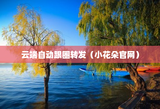 云端自动跟圈转发(小花朵官网) 云端自动跟圈转发(小花朵官网)