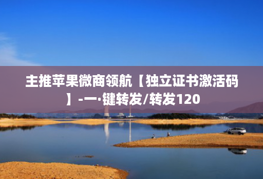 主推苹果微商领航【独立证书激活码】-一·键转发/转发120