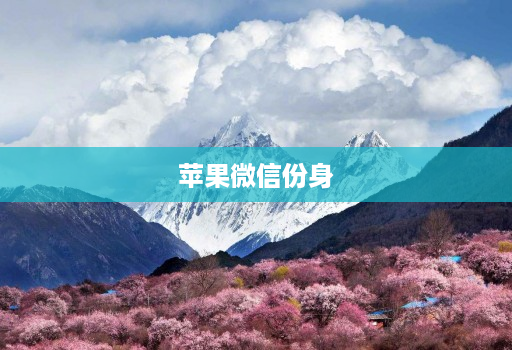 苹果微信份身