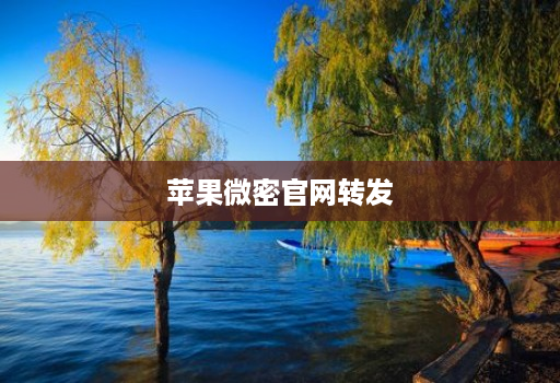 苹果微密官网转发