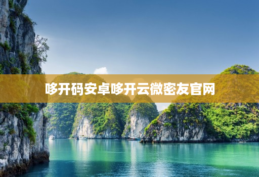 哆开码安卓哆开云微密友官网