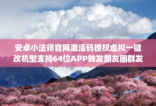 安卓小法师官网激活码授权虚拟一键改机型支持64位APP转发朋友圈群发