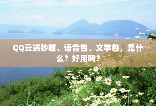 QQ云端秒喵、语音包、文字包,是什么?好用吗?