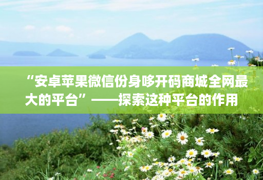 “安卓苹果微信份身哆开码商城全网最大的平台”——探索这种平台的作用和可能性