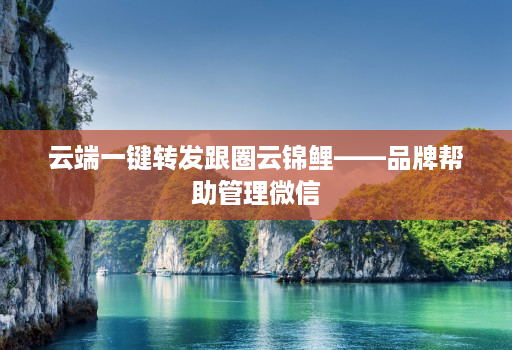 云端一键转发跟圈云锦鲤——品牌帮助管理微信
