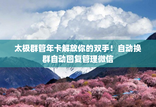 太极群管年卡解放你的双手!自动换群自动回复管理微信