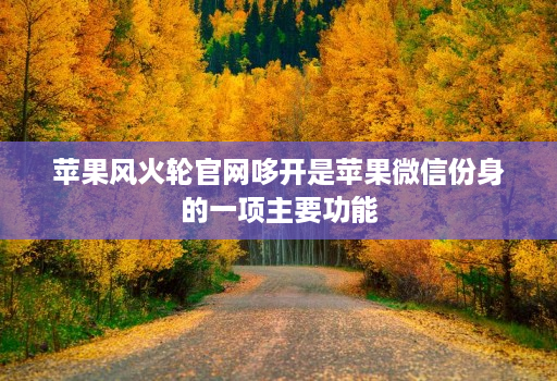苹果风火轮官网哆开是苹果微信份身的一项主要功能