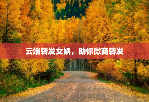 云端转发女娲,助你微商转发