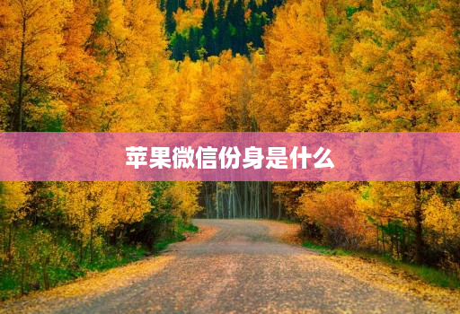 苹果微信份身是什么