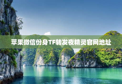 苹果微信份身TF转发夜精灵官网地址