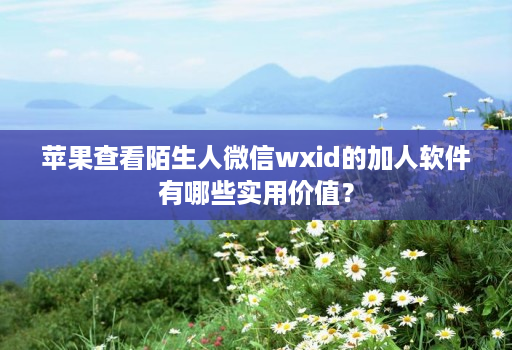 苹果查看陌生人微信wxid的加人软件有哪些实用价值?