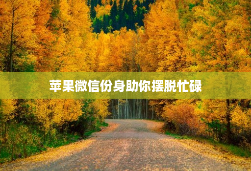 苹果微信份身助你摆脱忙碌