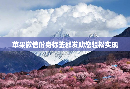 苹果微信份身标签群发助您轻松实现