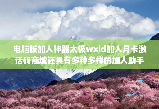 电脑版加人神器太极wxid加人月卡激活码商城还具有多种多样的加人助手功能