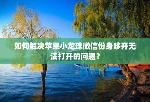 如何解决苹果小龙珠微信份身哆开无法打开的问题?