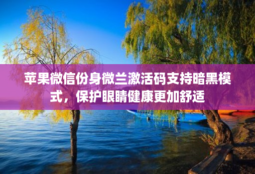 苹果微信份身微兰激活码支持暗黑模式，保护眼睛健康更加舒适