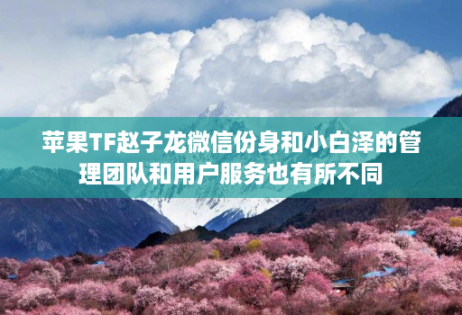 苹果TF赵子龙微信份身和小白泽的管理团队和用户服务也有所不同