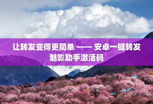 让转发变得更简单 —— 安卓一键转发魅影助手激活码