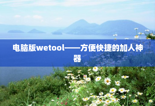 电脑版wetool——方便快捷的加人神器