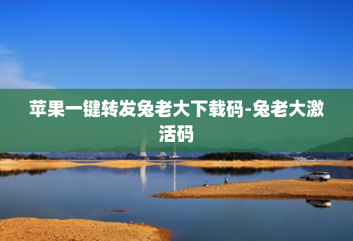 苹果一键转发兔老大下载码-兔老大激活码
