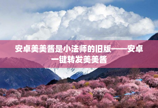 安卓美美酱是小法师的旧版——安卓一键转发美美酱