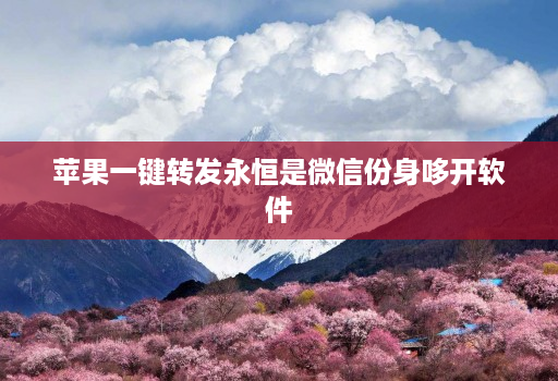 苹果一键转发永恒是微信份身哆开软件