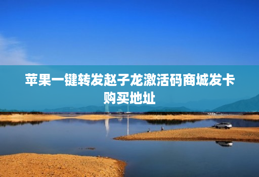 苹果一键转发赵子龙激活码商城发卡购买地址
