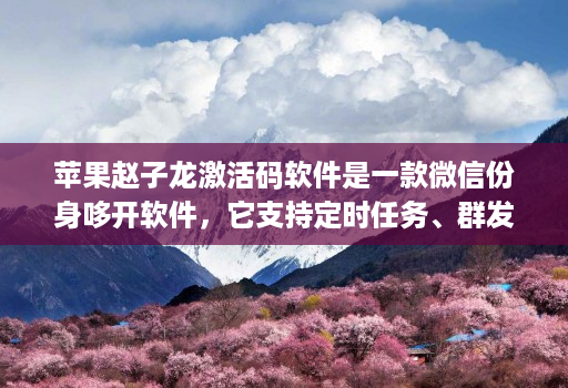 苹果赵子龙激活码软件是一款微信份身哆开软件,它支持定时任务、群发消息、内置主题设置、美化斗图