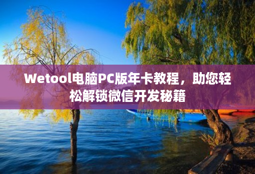 Wetool电脑PC版年卡教程,助您轻松解锁微信开发秘籍