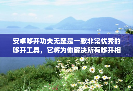 安卓哆开功夫无疑是一款非常优秀的哆开工具,它将为你解决所有哆开相关的问题