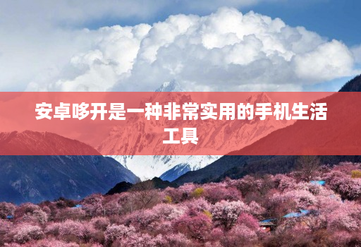 安卓哆开是一种非常实用的手机生活工具