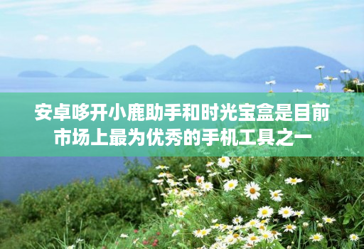 安卓哆开小鹿助手和时光宝盒是目前市场上最为优秀的手机工具之一
