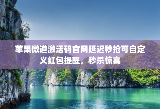苹果微道激活码官网延迟秒抢可自定义红包提醒,秒杀惊喜