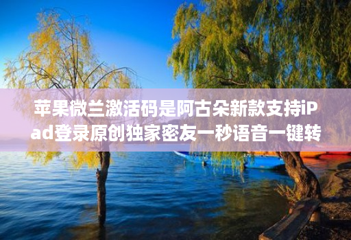 苹果微兰激活码是阿古朵新款支持iPad登录原创独家密友一秒语音一键转语音