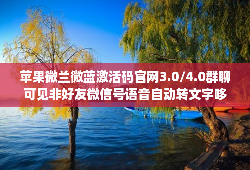 苹果微兰微蓝激活码官网3.0/4.0群聊可见非好友微信号语音自动转文字哆开分身转发