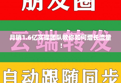 月销1.6亿实操团队教你如何增长流量!