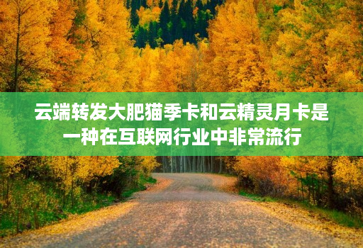 云端转发大肥猫季卡和云精灵月卡是一种在互联网行业中非常流行
