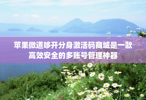 苹果微道哆开分身激活码商城是一款高效安全的多账号管理神器