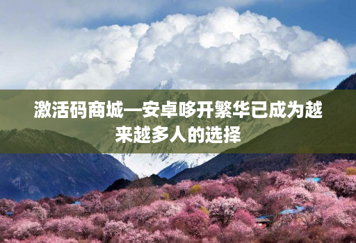 激活码商城—安卓哆开繁华已成为越来越多人的选择