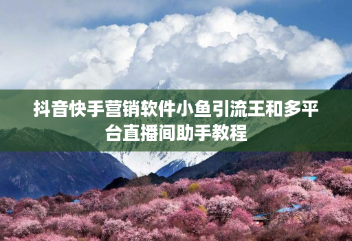 抖音快手营销软件小鱼引流王和多平台直播间助手教程