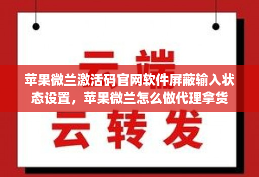 苹果微兰激活码官网软件屏蔽输入状态设置,苹果微兰怎么做代理拿货