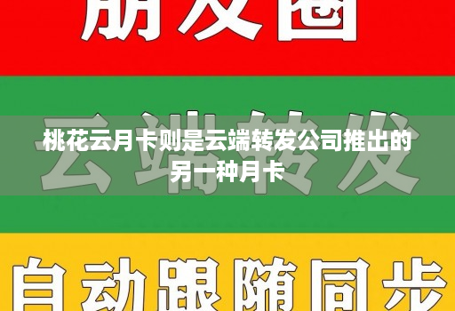 桃花云月卡则是云端转发公司推出的另一种月卡