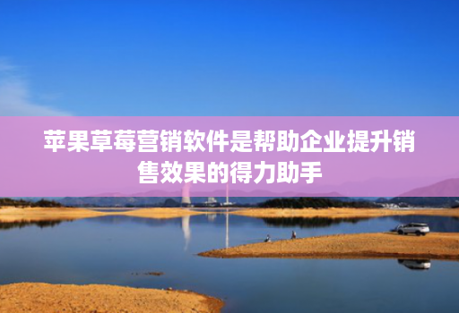 苹果草莓营销软件是帮助企业提升销售效果的得力助手