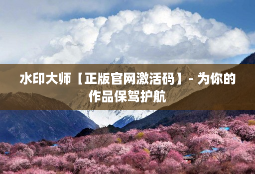 水印大师【正版官网激活码】- 为你的作品保驾护航