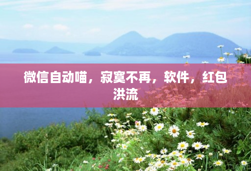 微信自动喵,寂寞不再,软件,红包洪流